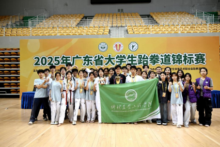 三金四银一铜！仲恺学子闪耀2025跆拳道省赛-仲恺农业工程学院体育学院